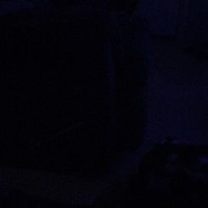 Meet your Posher, Mina